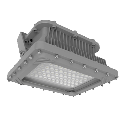 Explosion Proof Light