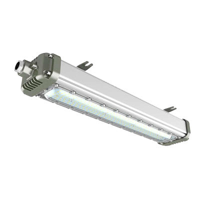 Explosion Proof Light