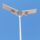 Solar All In One Street Light, Alder - Oman